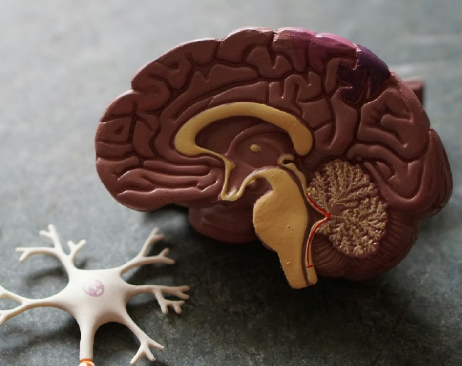 Choroby neurodegeneracyjne